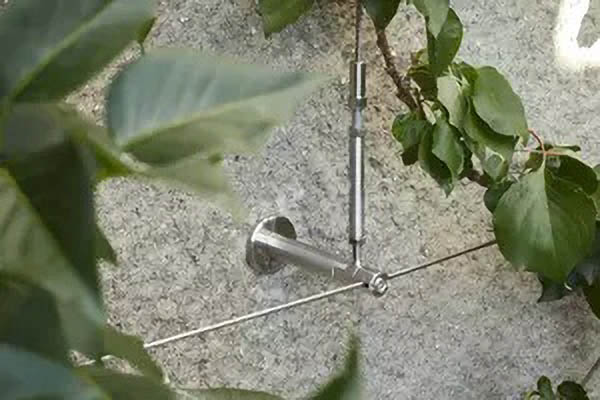 Sistema de fachada vegetal con enrejado de cable de acero inoxidable de Jakob