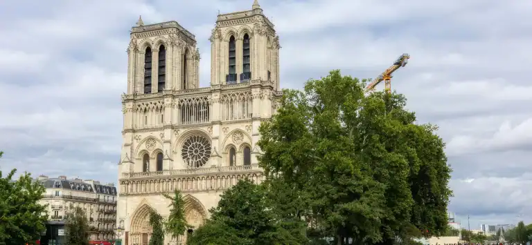 Notre-Dame: malla de acero inoxidable Webnet en la restauración